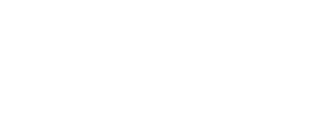Raw Vision Collective